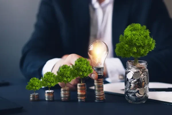 Pemerintah Mantapkan Komitmen Ekonomi Hijau pada COP 29